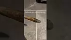 Plantations ceres no2 slurricane mint burn