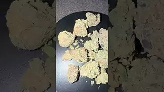 Scoops | By Upstate