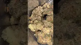 Loud Cake by Green Karat (Project 4561 S1 × Pancakes)