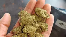 CannaChris Video Thumbnail