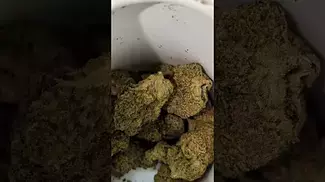 CANNFX DOSI CAKE (UK PRESCRIPTION MEDICATION)