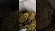 PrescribedBouquet Video Thumbnail