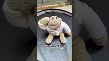 Pain Patient Video Thumbnail