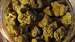 Peace Naturals ATOMIC Sour Grapefruit (Fast Review) #medicalcannabis #cannabis #review