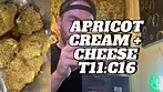 Apricot Cream & Cheese Medical Cannabis Flower Review