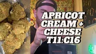 Apricot Cream & Cheese Medical Cannabis Flower Review