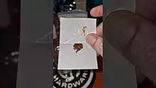 Smacksalad Video Thumbnail