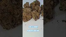 HighStandards420 Video Thumbnail