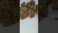 Video Thumbnail: HighStandards420