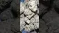 Video Thumbnail: High Jack
