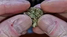 Smacksalad Video Thumbnail