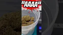 Medicated Barber Friend Video Thumbnail