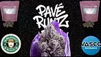Pave Runtz By vasco budshot