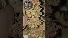 AzztecMedia Video Thumbnail