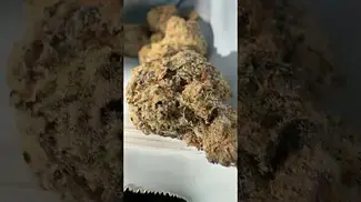 Cookies | Gelatti | UK Medical Flower