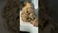 Video Thumbnail: Vybzz 420