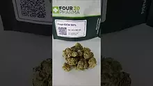 Medical UK Cannabis Video Thumbnail