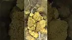 Cali-X Zkittles / Xkittles