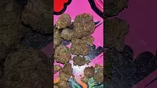 St0nerLukas Video Thumbnail