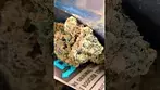 SUNDAZE PINK SNOWCONE (UK PRESCRIPTION MEDICATION)