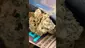 Video Thumbnail: PrescribedBouquet
