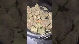 Papaya BANTZ Big Nastie clinic medical 26%thc