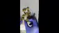 Video Thumbnail: Buds Lullaby UK