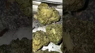 Ceres No 2 Slurricane Mint T27% Review #ukmedicalcannabis #medicalcannabis