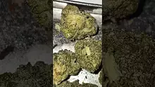 LoudConnoisseur Video Thumbnail