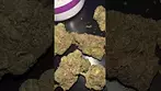 Farm Gas & Sorbet UK Medical Weed