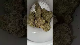 All Nations MAC Daddy | UK Medical