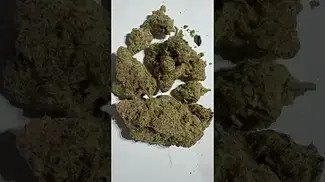 4c Labs Mac1 #medicalcannabis 27% thc (strong day smoke)