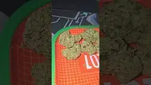 Eazypax420 Video Thumbnail