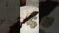 Video Thumbnail: 2cavjav