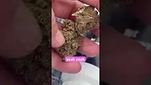 EdTalks420 Video Thumbnail