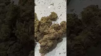Cookies  Hawaiian Rain 31%