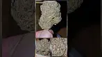 Upstate - Mochi Gelato T28 - Beta Irradiated - Sweet minty gas - Slightly Harsh - Strong effects