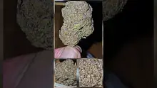 Vinnie's Lounge Video Thumbnail