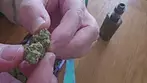 SITKA T26 WHG (WHITE HOT GUAVA) UK MEDICAL CANNABIS REVIEW