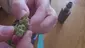 Video Thumbnail: MumMedCanUK