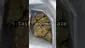 Video Thumbnail: High Jack