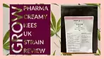 Grow Pharma Creamy Kees UK Strain Review