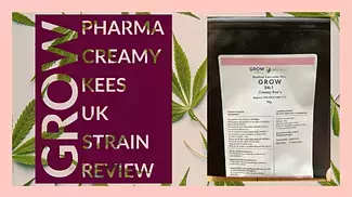 Grow Pharma Creamy Kees UK Strain Review