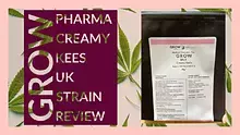Cannabis is Medicine Video Thumbnail
