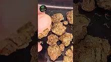TheMedCannHub Video Thumbnail