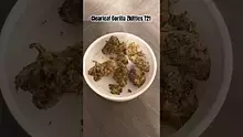 LoudConnoisseur Video Thumbnail