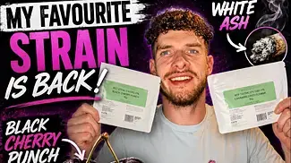 My Favourite UK Medical Strain Is BACK! | Curo Black Cherry Punch