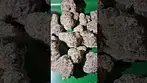 Cannfx mochi gelato  #uk #medical #patient #flowers #youtubeshorts