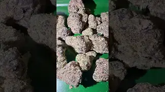 Cannfx mochi gelato  #uk #medical #patient #flowers #youtubeshorts