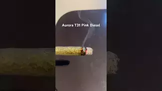 Aurora T31 Pink Diesel burn